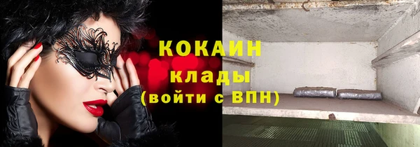 стаф Алзамай