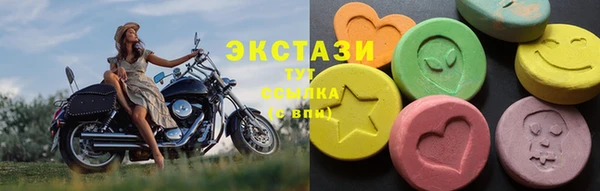 стаф Алзамай
