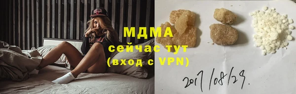 стаф Алзамай