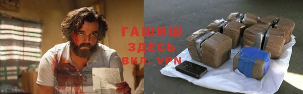 стаф Алзамай