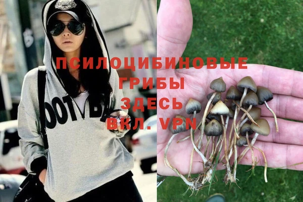 прущая мука Алексин