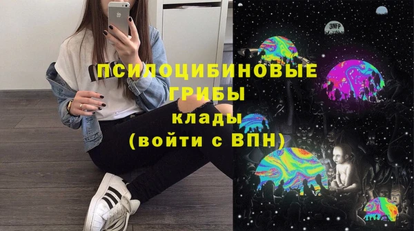 прущие крисы Приозерск