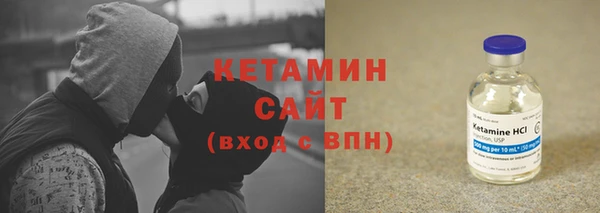 стаф Алзамай