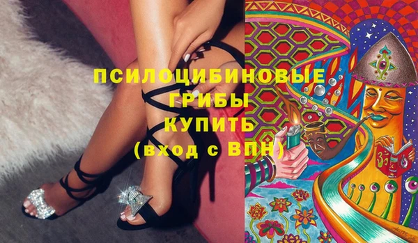 стаф Алзамай