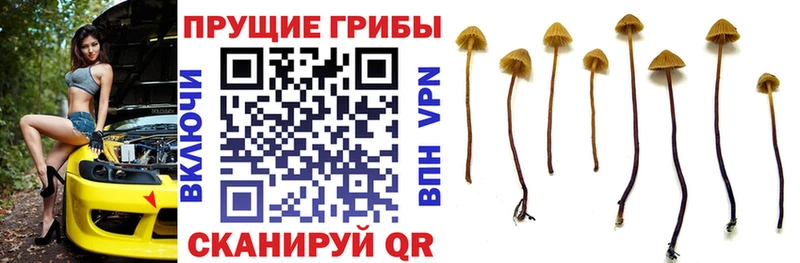 Галлюциногенные грибы ЛСД  Дно 